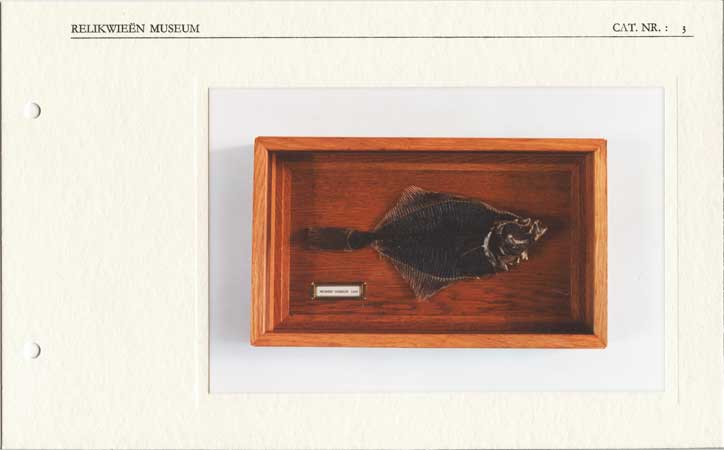 cat nr 3 schol pagina1