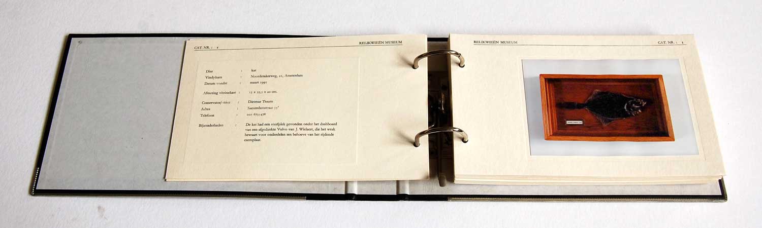 pagina schol