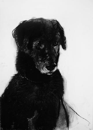 44-henk-copy.jpg