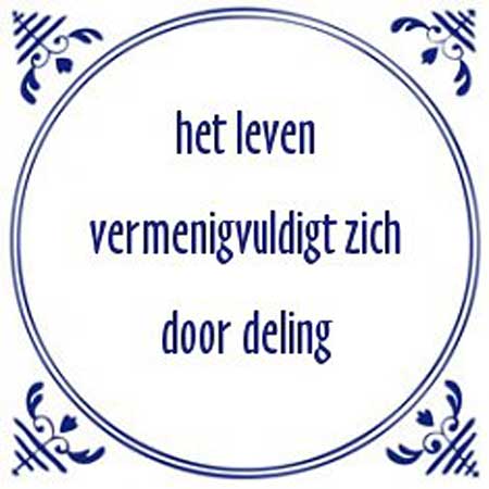 tegelwijshied